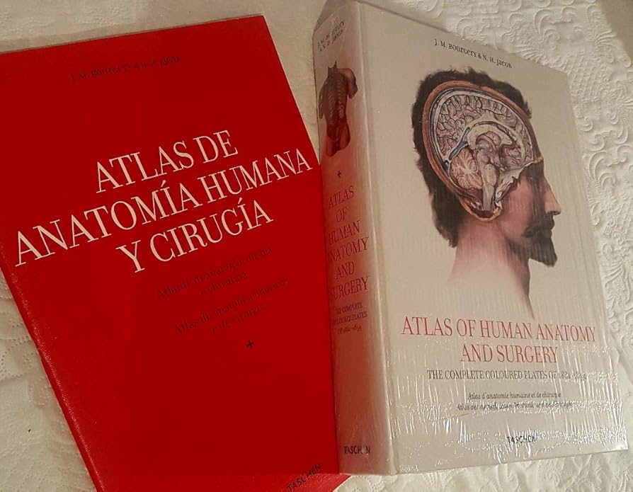 解剖学 Atlas of Human Anatomy and Surgery Bourgery. Atlas of Human Anatomy and Surgery: Sick, Henri